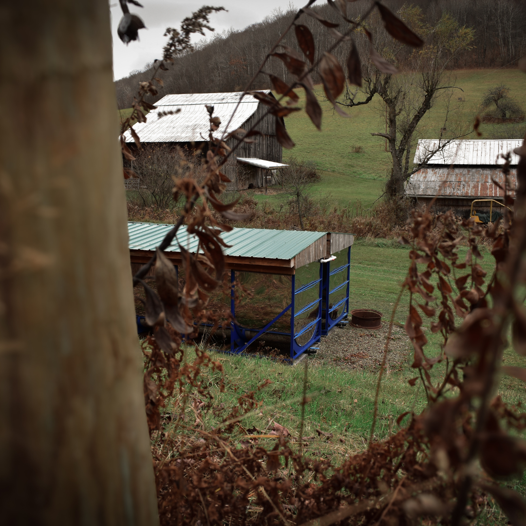 Maple Sap Storage Tanks on Family Farm – Graves Maple Products
A rustic view of stainless steel maple sap storage tanks covered by a green metal roof, nestled on a hillside with barns and fall foliage in the background, capturing the rural charm of syrup production.