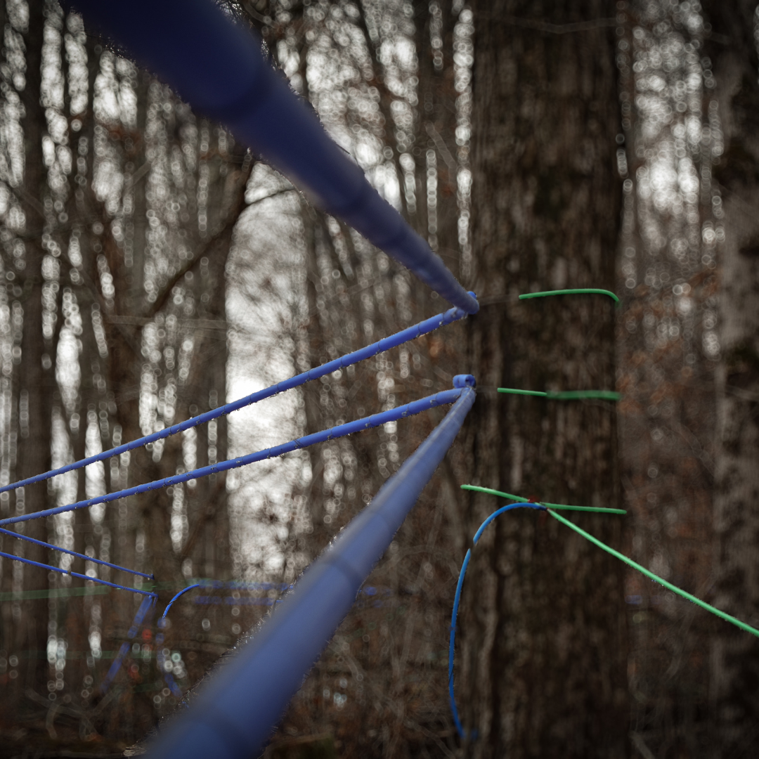 Close-up of blue and green maple tubing connected to a maple tree for sap collection, showing the tubing system tightly secured around the bark in a snowy forest.
