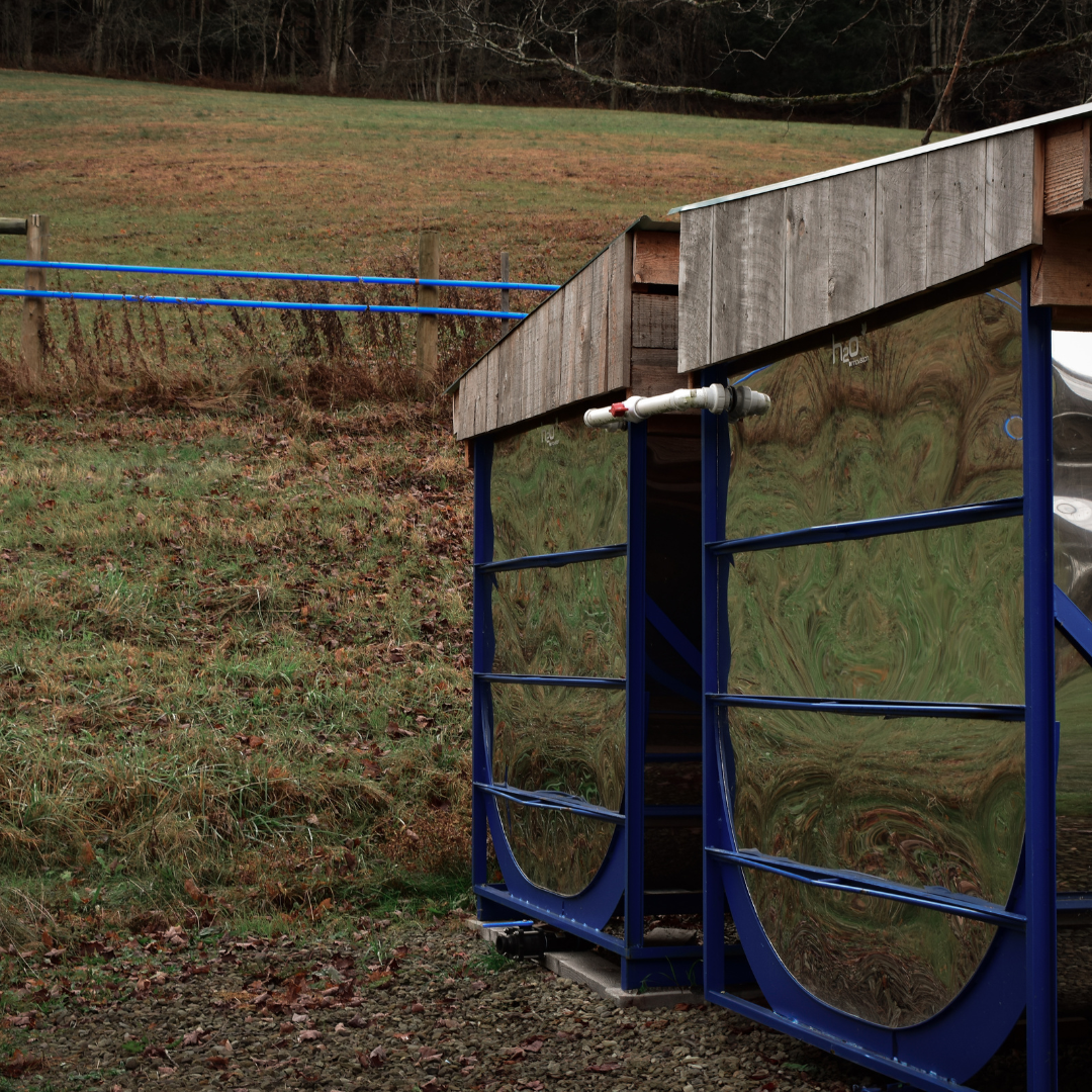 Stainless Steel Maple Sap Storage Tanks – Graves Maple Products
Outdoor stainless steel tanks reflect the surrounding maple farm landscape as they store freshly collected sap, with bright blue tubing feeding into the system from the sugarbush forest uphill.