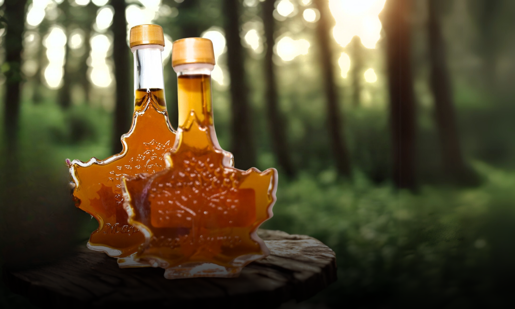 Two bottles of organic Pennsylvania maple syrup with maple leaf label design in forest setting, featuring USDA Organic and PA Preferred logos from Graves Maple Products.